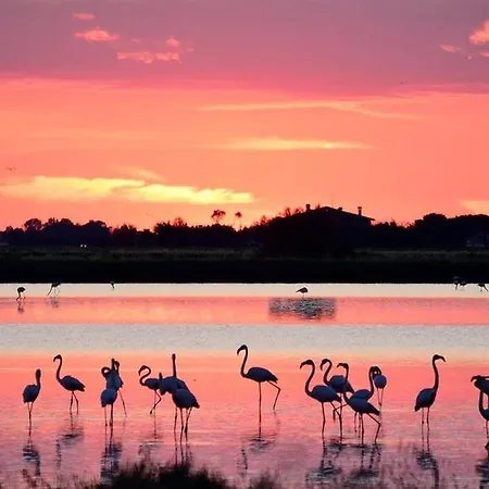Salinari * Cervia